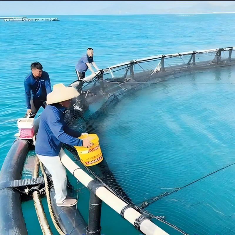 Pompes recommandées pour l'industrie aquacole